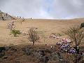 Coniston Race May 10 026